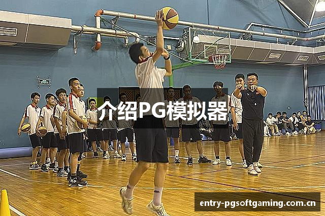 介绍PG模拟器
